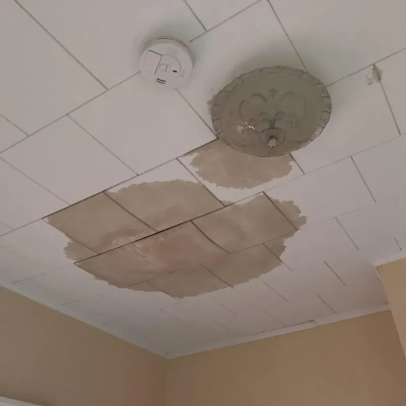 Ceiling Water Damage Repair in North Andrews Gardens, FL