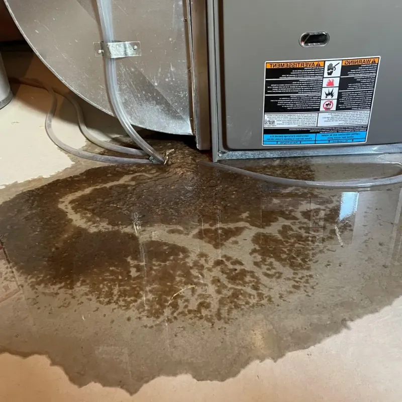 Pipe Burst and Leak Restoration in North Andrews Gardens, FL